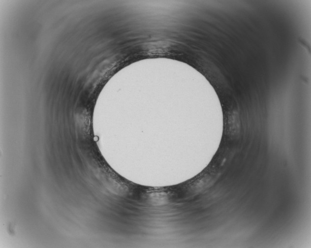 X0000103910228200810171712