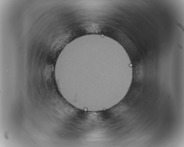 X0000103910229200810171712