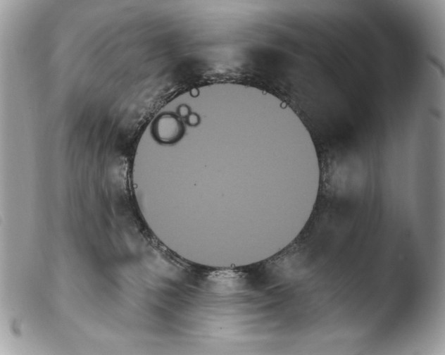 X0000103910231200810171712