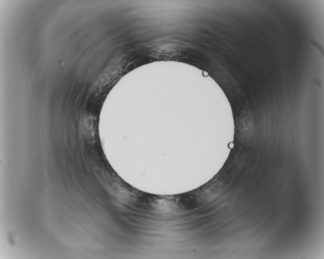X0000103910232200810171712