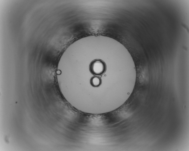 X0000103910235200810171712