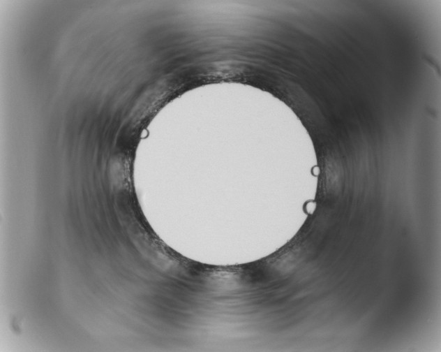 X0000103910236200810171712