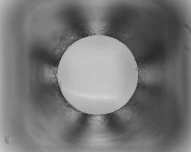 X0000103910237200810171712