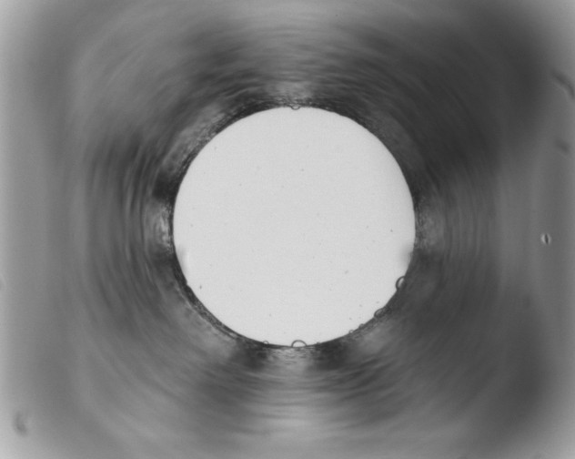 X0000103910238200810171712