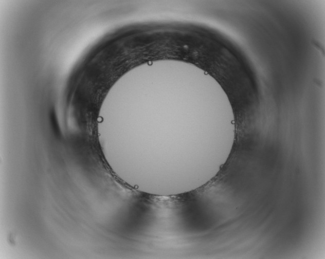 X0000103910239200810171712