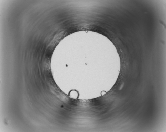 X0000103910240200810171712