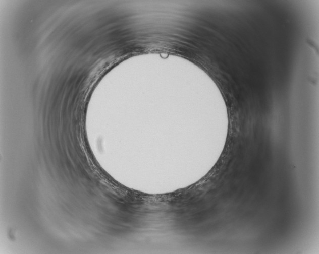 X0000103910241200810171712