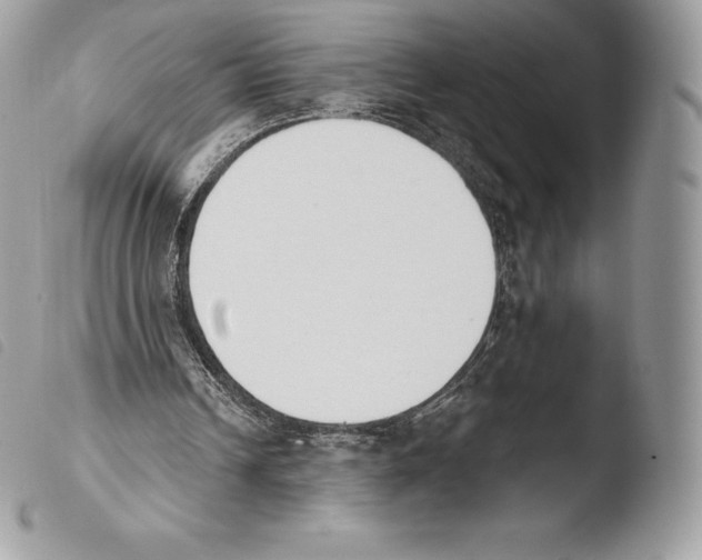 X0000103910242200810171712