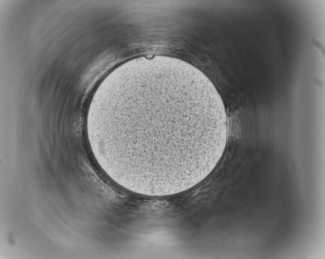X0000103910243200810171712