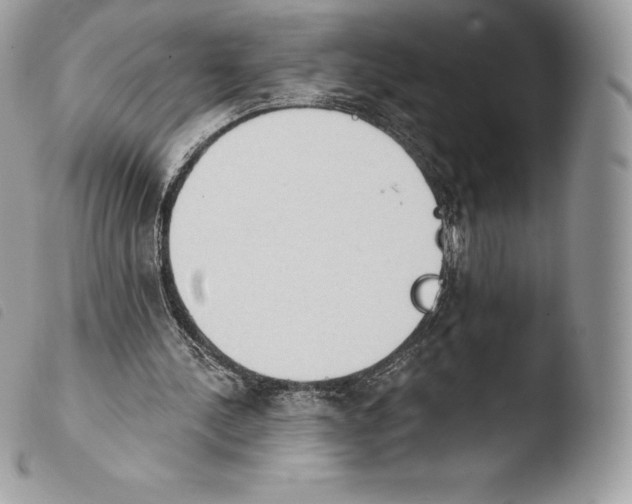 X0000103910244200810171712