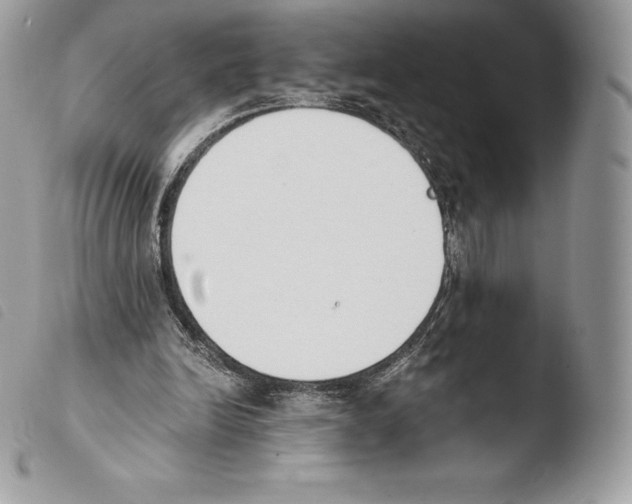X0000103910246200810171712
