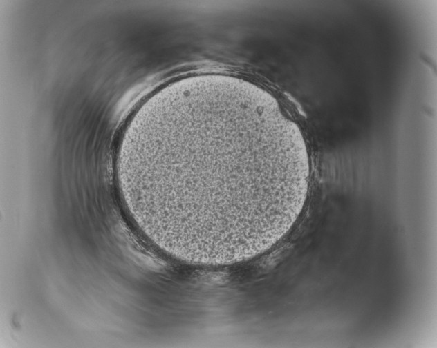 X0000103910247200810171712