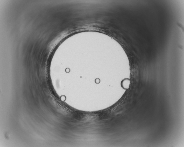 X0000103910248200810171712