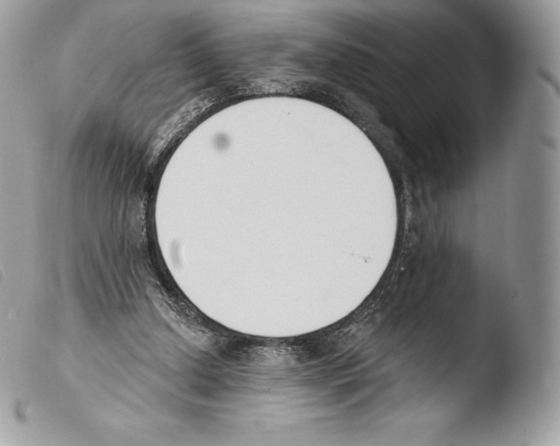 X0000103910250200810171712