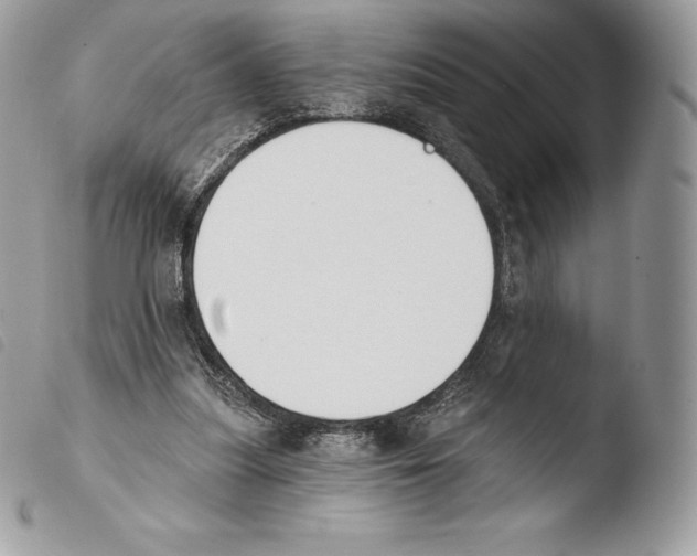 X0000103910251200810171712