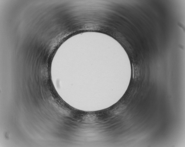 X0000103910252200810171712