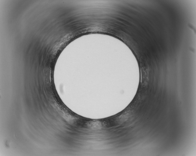 X0000103910253200810171712
