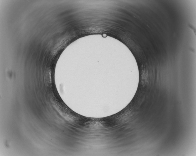X0000103910254200810171712