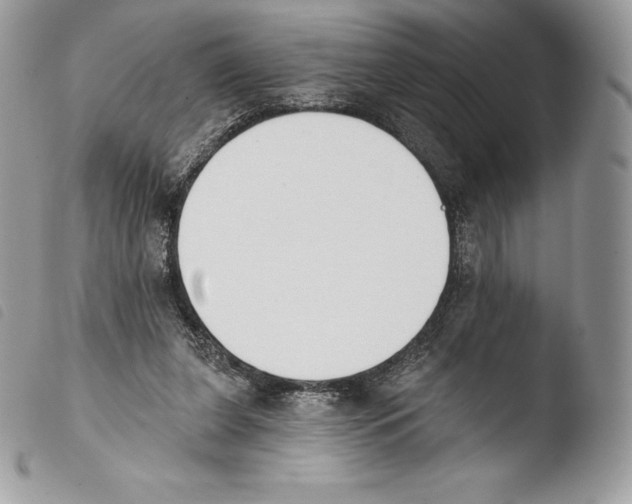 X0000103910255200810171712