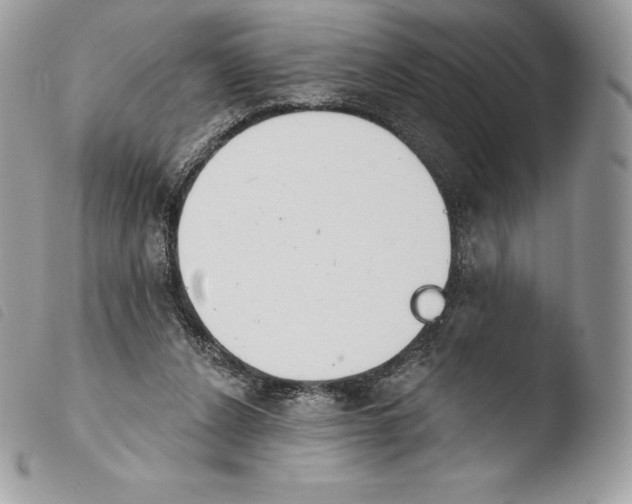 X0000103910256200810171712