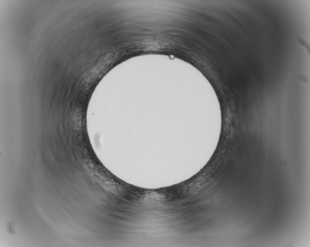X0000103910257200810171712