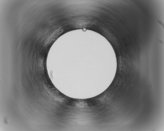 X0000103910258200810171712