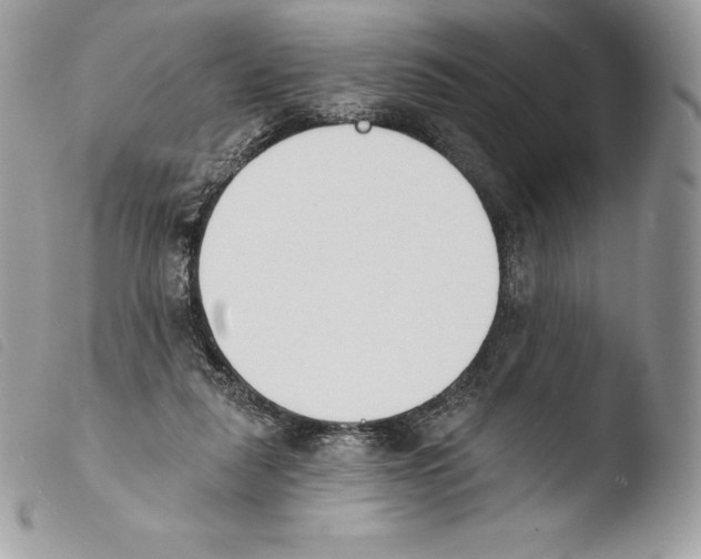 X0000103910259200810171712
