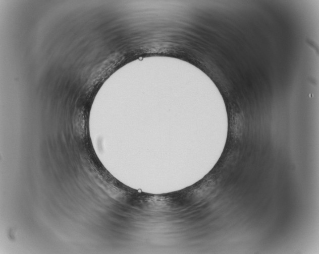 X0000103910261200810171712