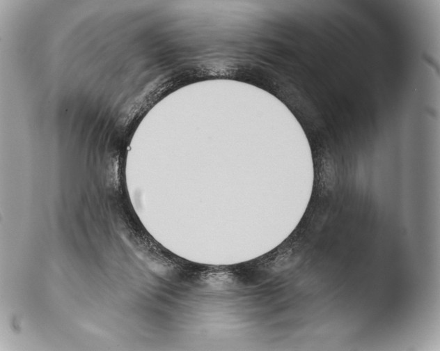 X0000103910262200810171712