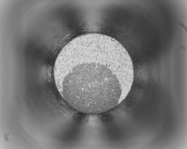 X0000103910264200810171712
