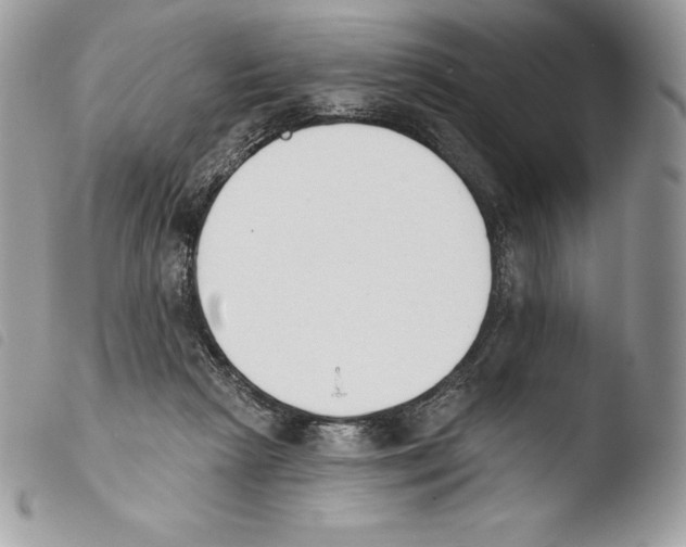 X0000103910265200810171712
