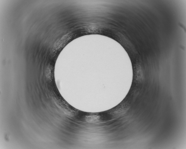 X0000103910266200810171712