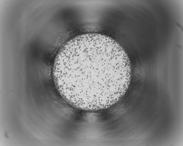 X0000103910268200810171712