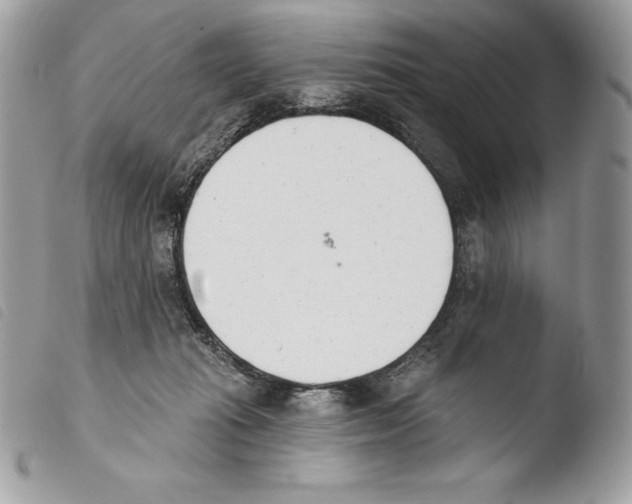 X0000103910269200810171712