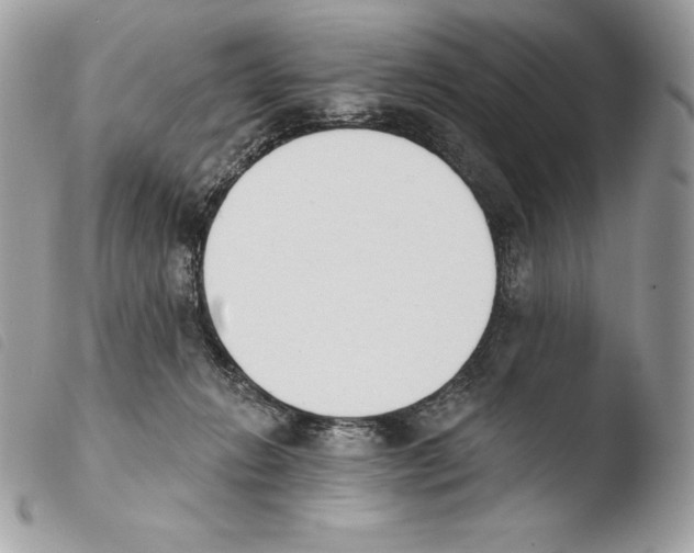 X0000103910270200810171712