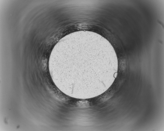 X0000103910271200810171712