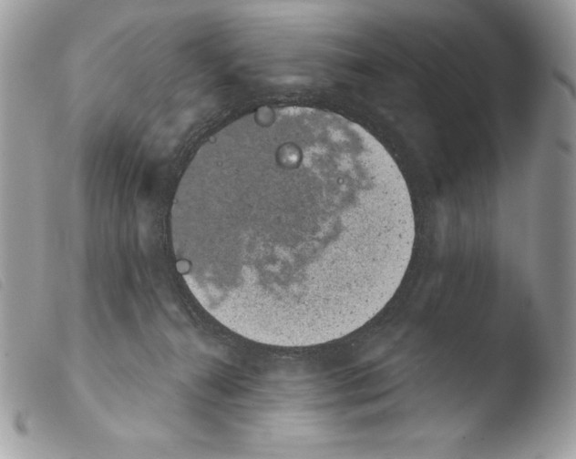 X0000103910272200810171712