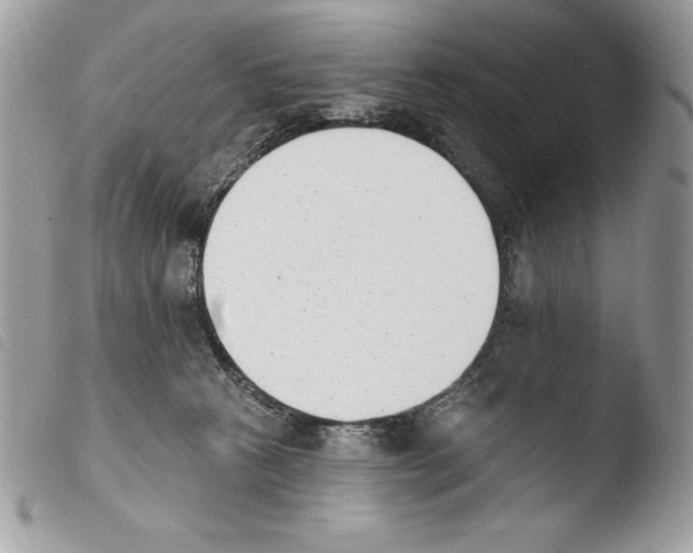 X0000103910273200810171712