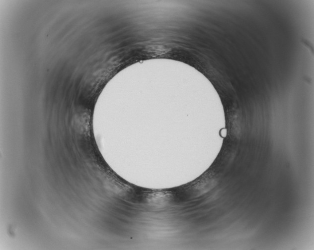 X0000103910274200810171712