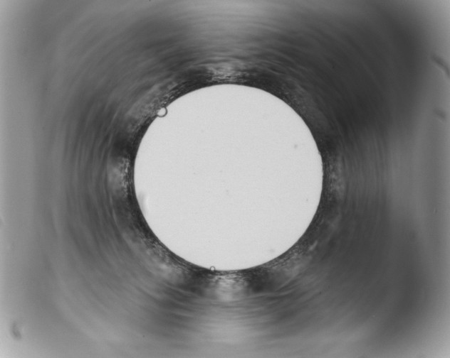 X0000103910275200810171712
