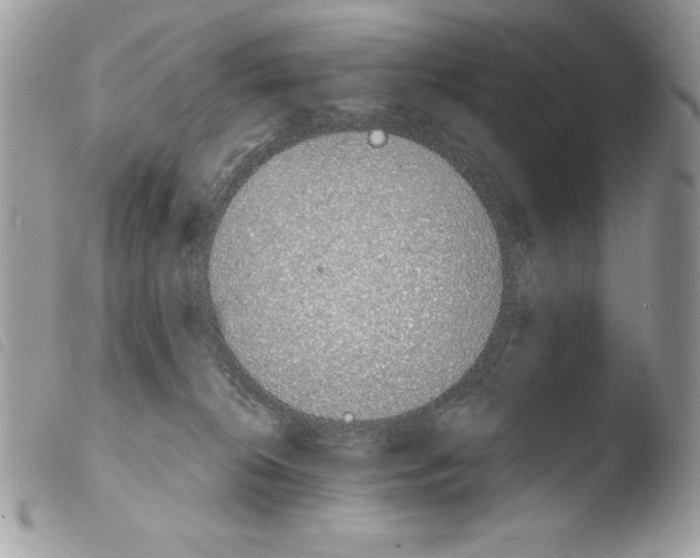 X0000103910276200810171712