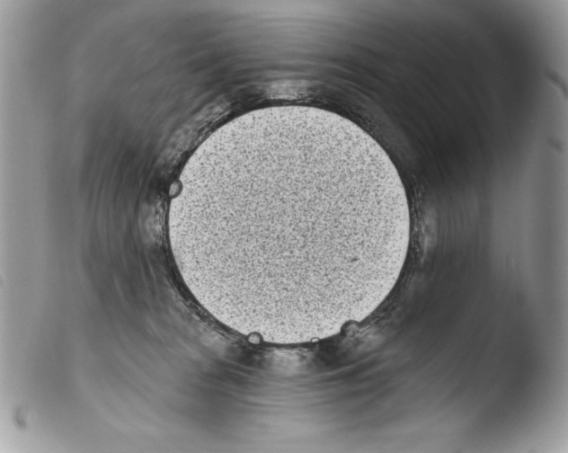 X0000103910277200810171712