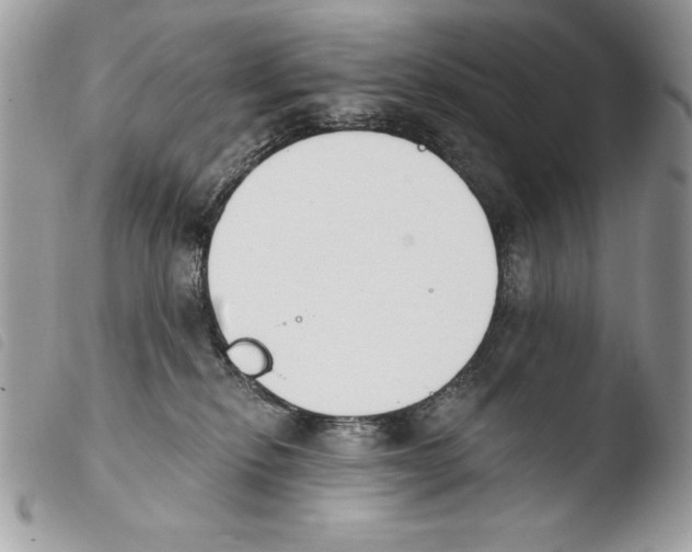 X0000103910278200810171712
