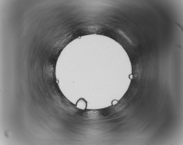 X0000103910279200810171712
