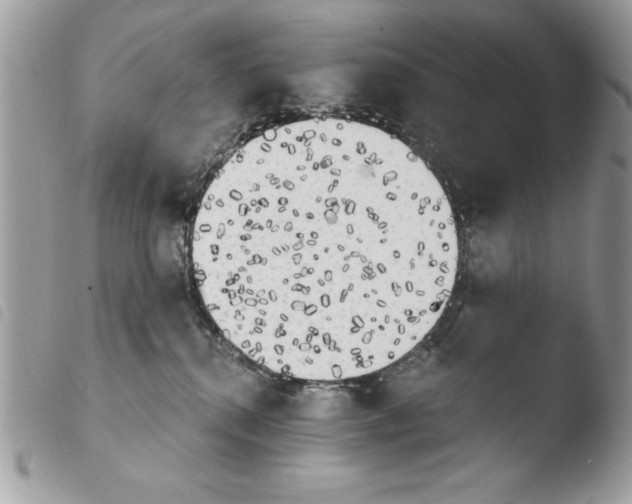X0000103910280200810171712