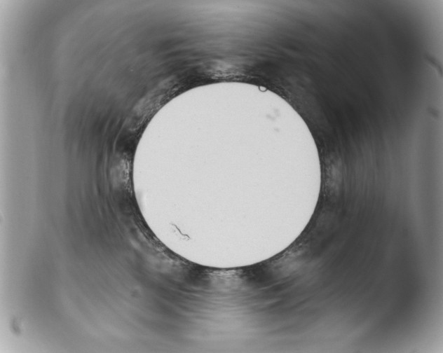 X0000103910281200810171712