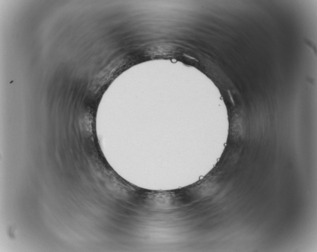 X0000103910282200810171712