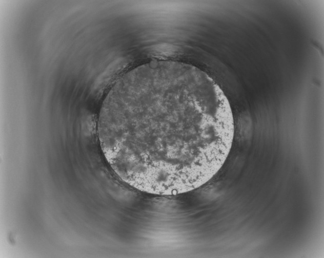 X0000103910284200810171712