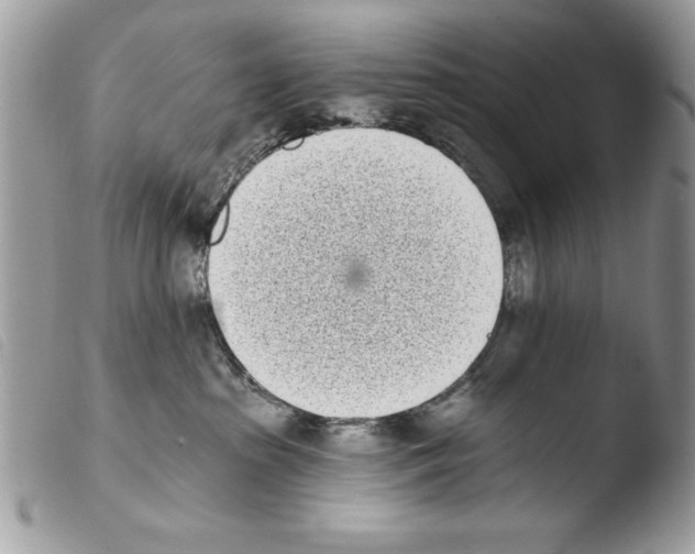 X0000103910285200810171712