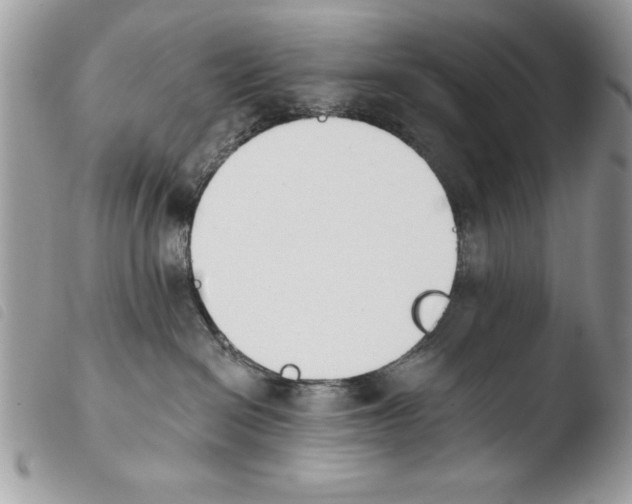 X0000103910286200810171712